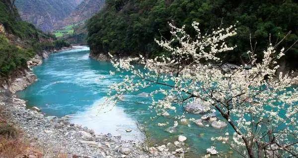 菏泽市新增1个国家级服务业标准化试点项目