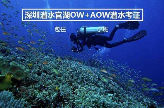 苏菲亚的婚纱